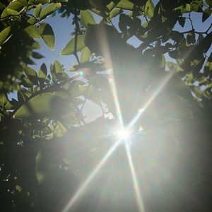 Meet your Posher, Rodolfo